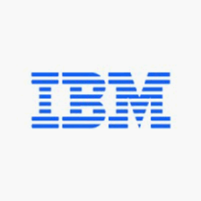 IBM watsonx logo